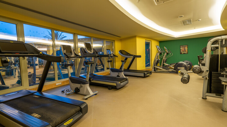 Lara Barut Collection